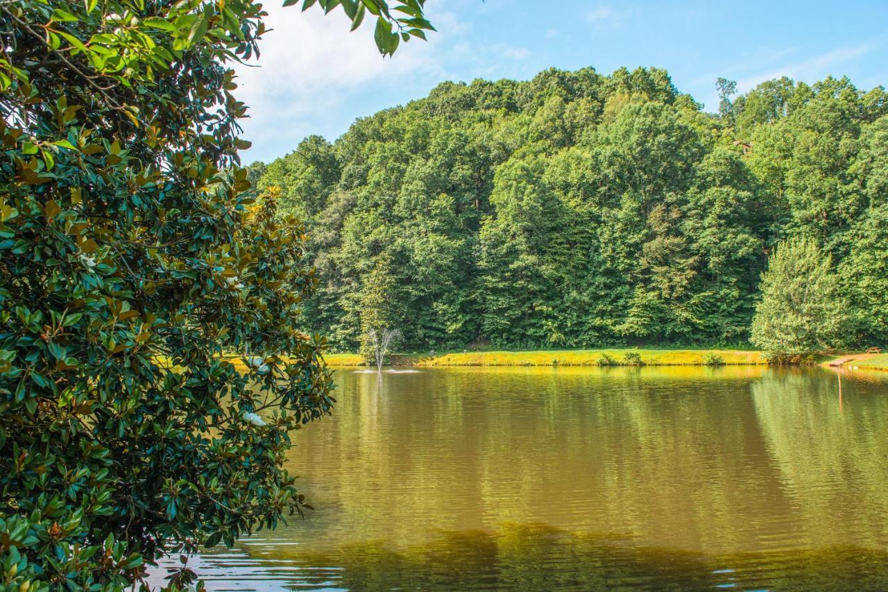 Star Seasons Retreat Villa Ellijay Bagian luar foto